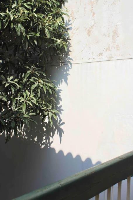 נרבון Spacieux Appartement 4 Couchages, Terrasse Privee מראה חיצוני תמונה