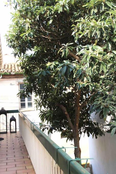 נרבון Spacieux Appartement 4 Couchages, Terrasse Privee מראה חיצוני תמונה